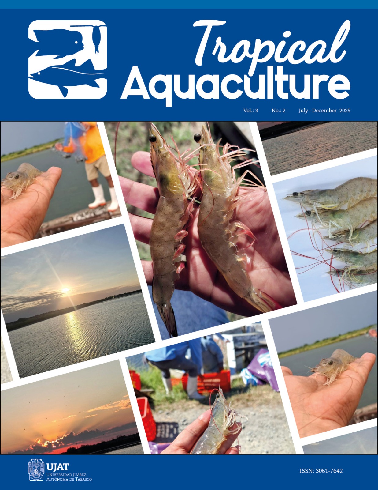 					View Vol. 3 No. 2 (2025): JULY-DECEMBER
				